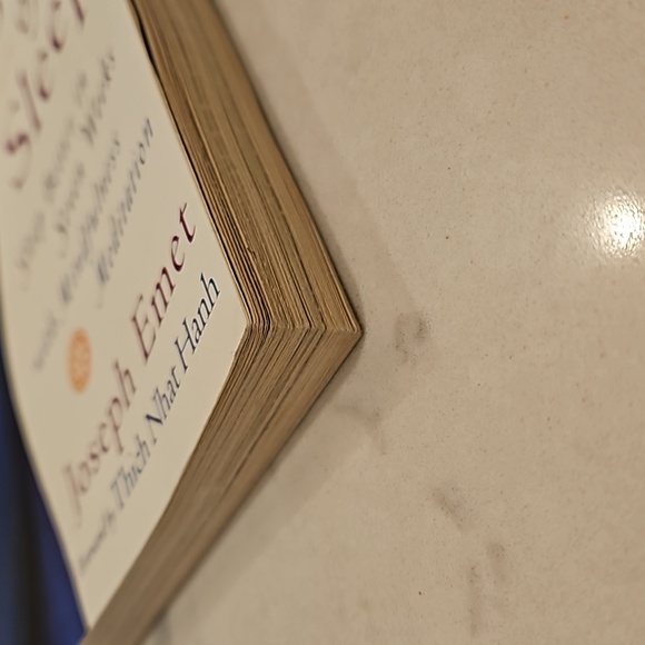 Buddha's Book Of Sleep by Joseph Emet - Picture 4 of 9